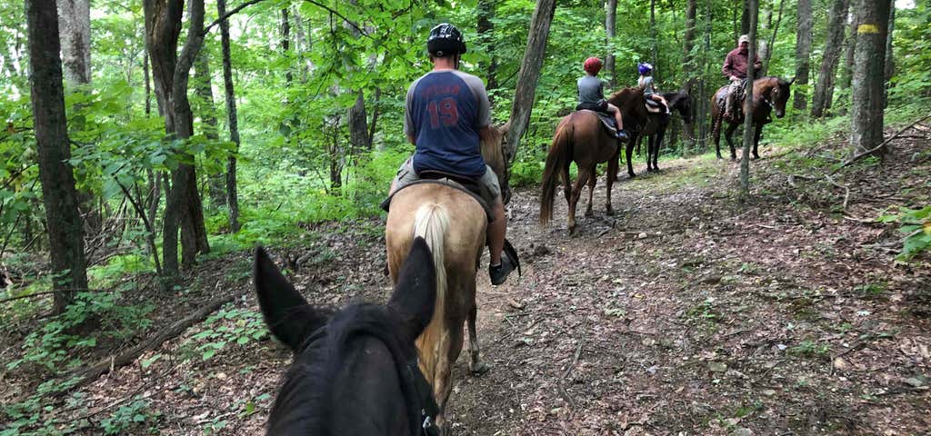 Photo of Appalachian Horse Adventures