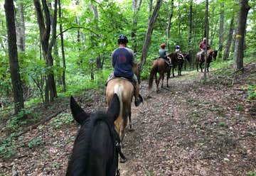Photo of Appalachian Horse Adventures
