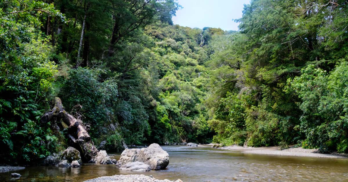 Kaitoke Regional Park, North Island | Roadtrippers