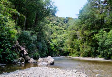 Photo of Kaitoke Regional Park