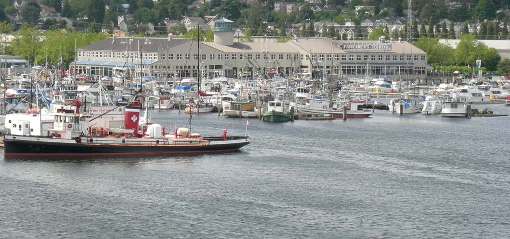 Photo of Salmon Bay Marina