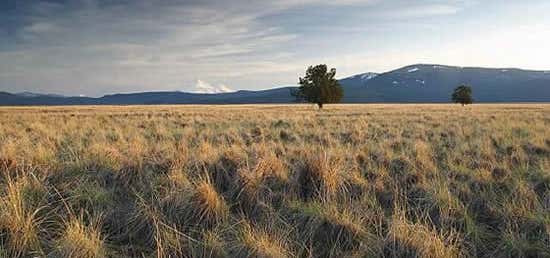 Photo of Butte Valley National Grassland