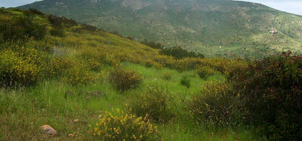 Photo of Mission Trails Regional Park