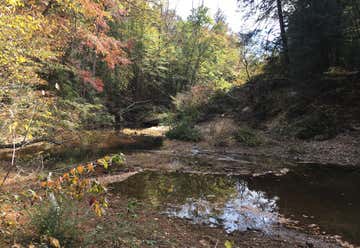 Photo of Sipsey Wilderness