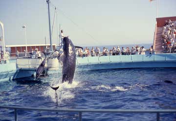 Photo of Marineland of the Pacific
