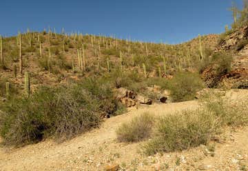 Photo of King Canyon Trail