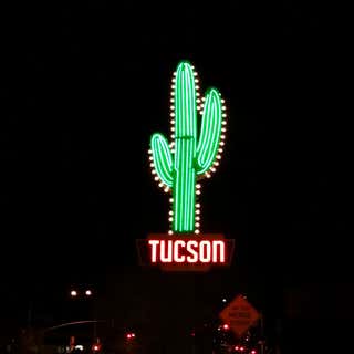 30 Foot Tall Neon cactus