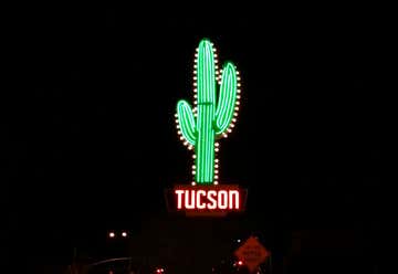 Photo of 30 Foot Tall Neon cactus