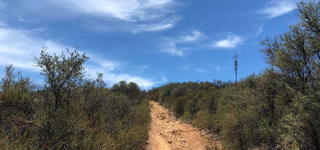 Photo of Nicholas Flat Trail