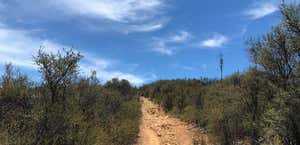 Nicholas Flat Trail