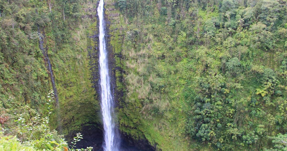 Akaka Falls State Park, Honomu Roadtrippers
