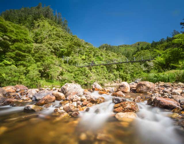 Cycle The Hauraki Rail Trail Roadtrippers A sharply winding canyon, it was formed by the ohinemuri river. cycle the hauraki rail trail roadtrippers