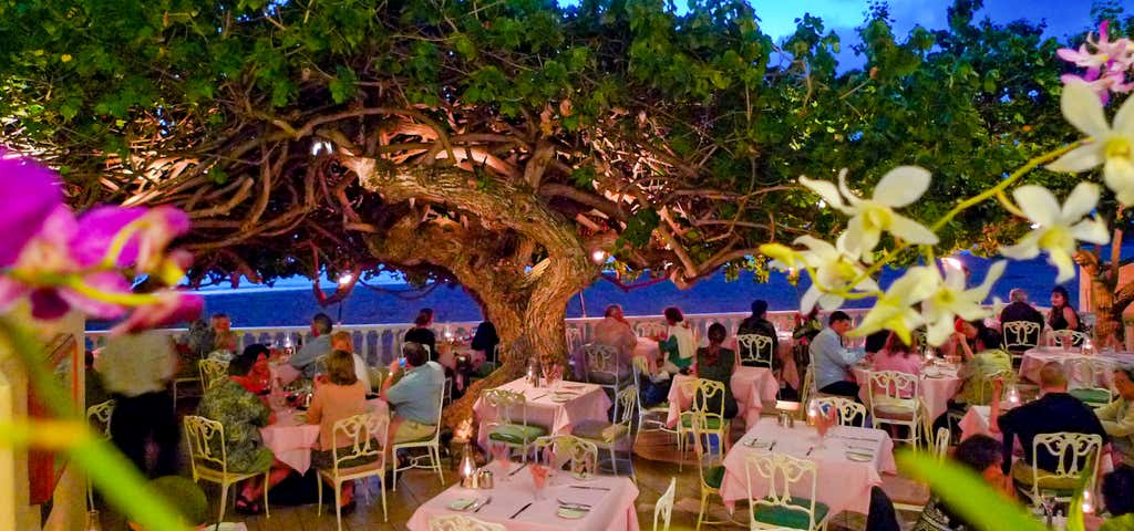 Photo of Hau Tree Lanai Restaurant
