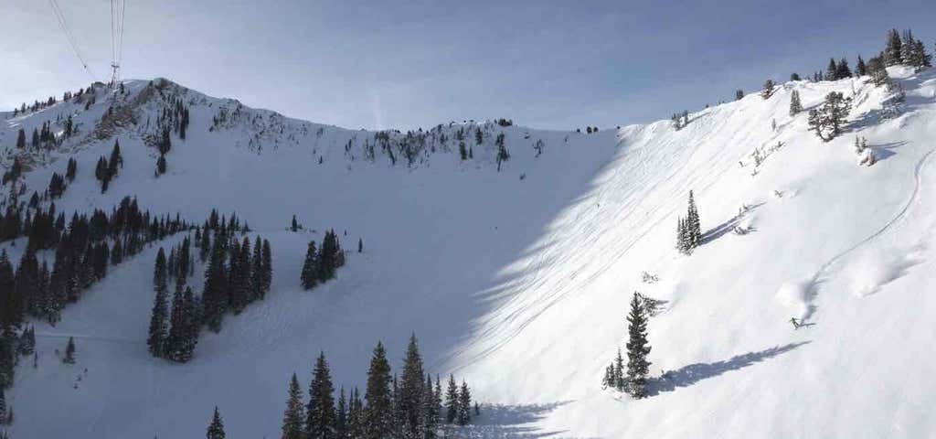 Photo of Snowbird Ski and Summer Resort