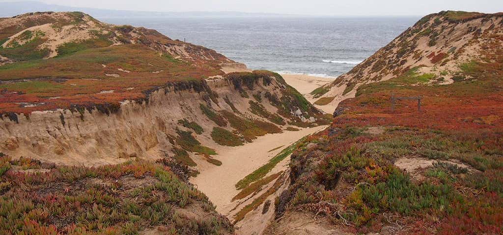Photo of Fort Ord Dunes State Park