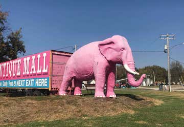 Photo of Beach Guy and Pink Elephant
