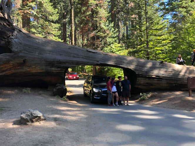 Photo of Sequoia National Park | Roadtrippers