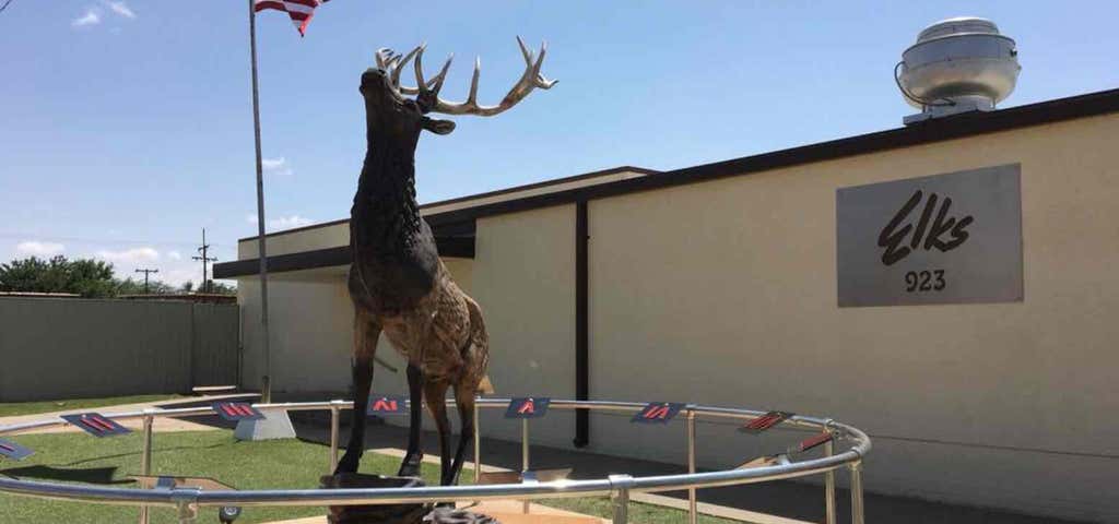 Photo of Elks Lodge Amarillo TX #0923