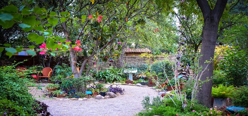 Photo of Tucson Botanical Gardens