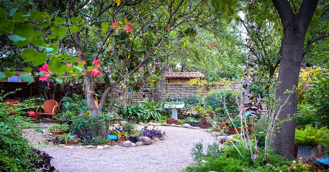 Tucson Botanical Gardens, Tucson | Roadtrippers