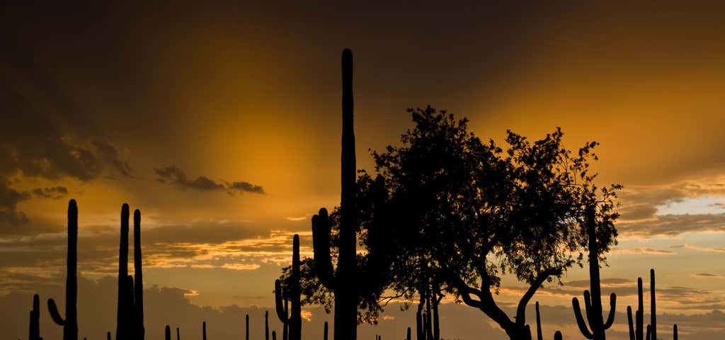 Photo of Saguaro National Park - Tucson Mountain District
