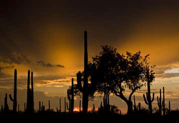 Photo of Saguaro National Park