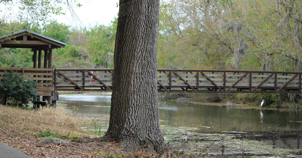 Sawgrass Lake Park, St. Petersburg Roadtrippers