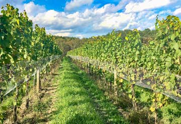 Photo of Briar Valley Vineyards & Winery
