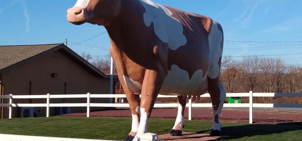 Photo of Giant Cow