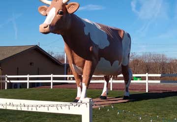 Photo of Giant Cow