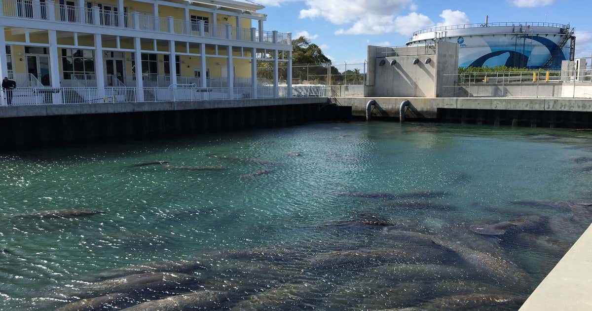 Manatee Lagoon, West Palm Beach | Roadtrippers