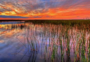 Photo of Everglades National Park