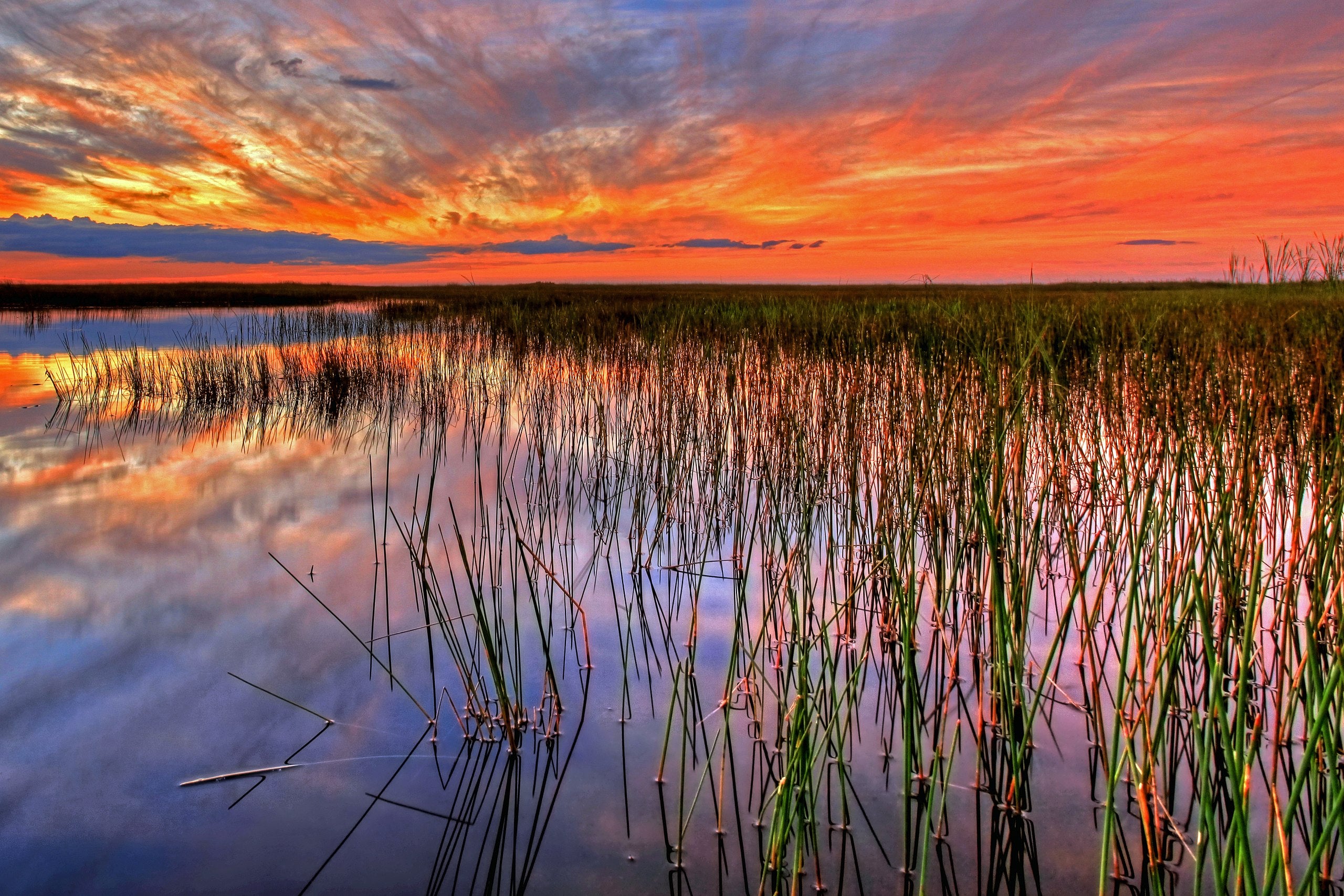 Everglades National Park