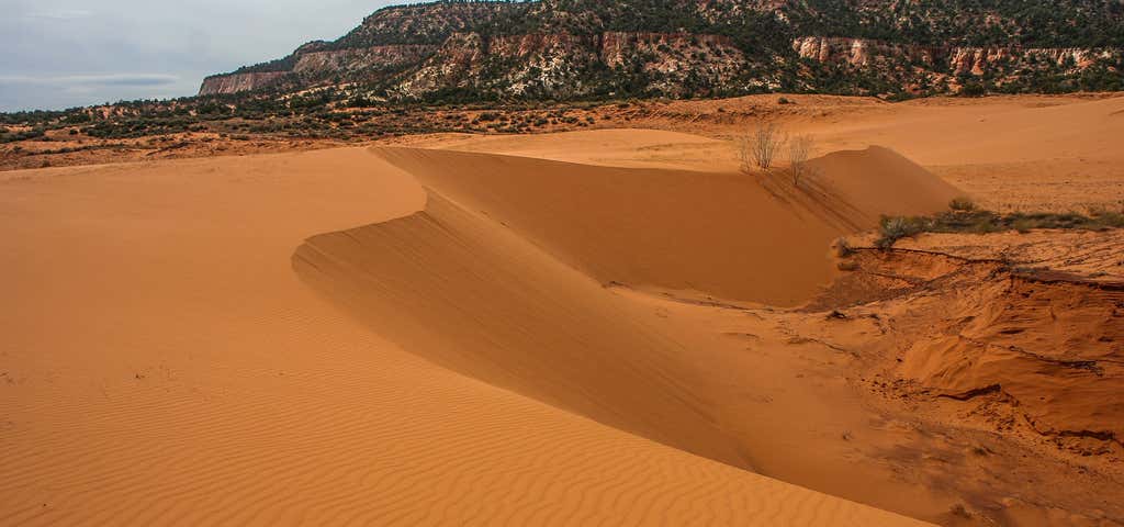 Photo of Coral Pink Sand Dunes State Park