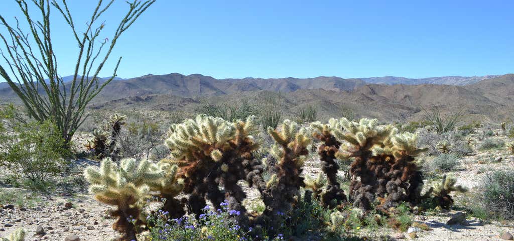 Photo of Anza-Borrego Desert State Park