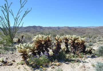 Photo of Anza-Borrego Desert State Park