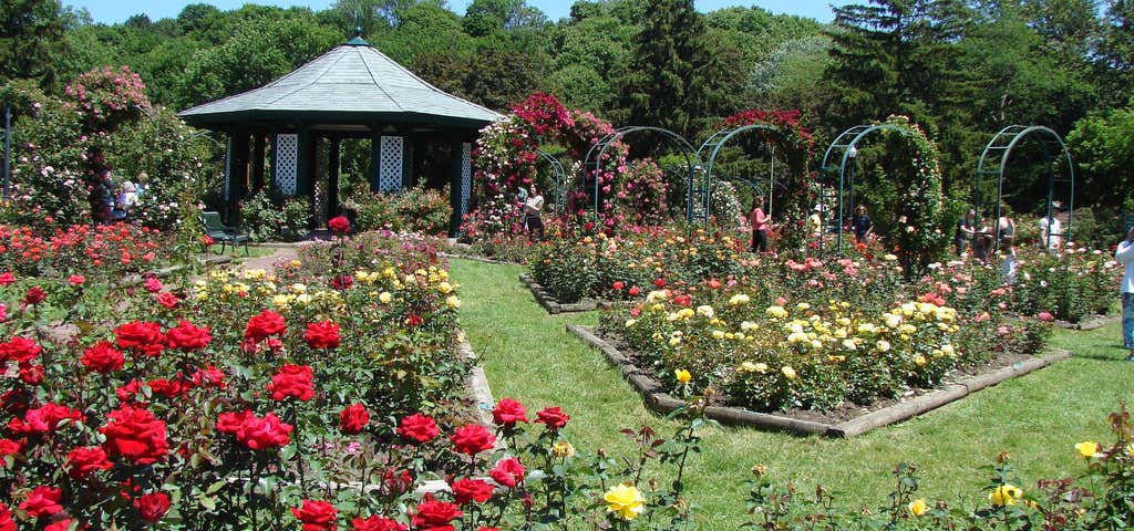 Photo of E.M. Mills Rose Garden