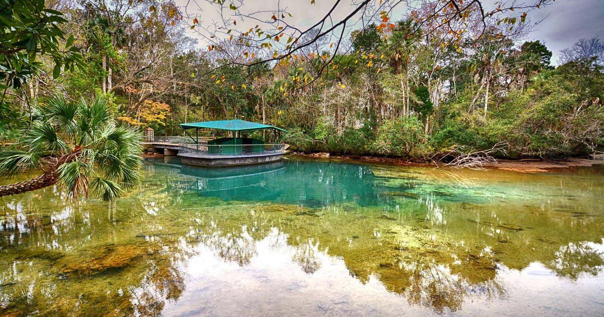 Ellie Schiller Homosassa Springs Wildlife State Park, Homosassa