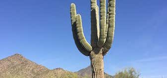 Photo of Phoenix Sonoran Desert Preserve