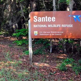 Santee National Wildlife Refuge