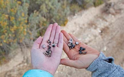 Great Basin National Park Trip