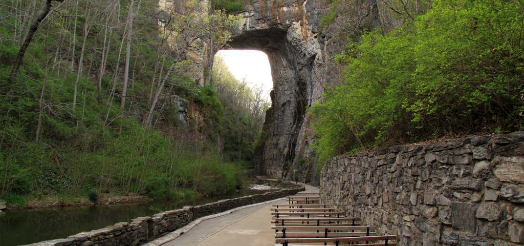 Photo of Natural Bridge State Park
