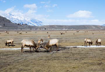 Photo of National Elk Refuge