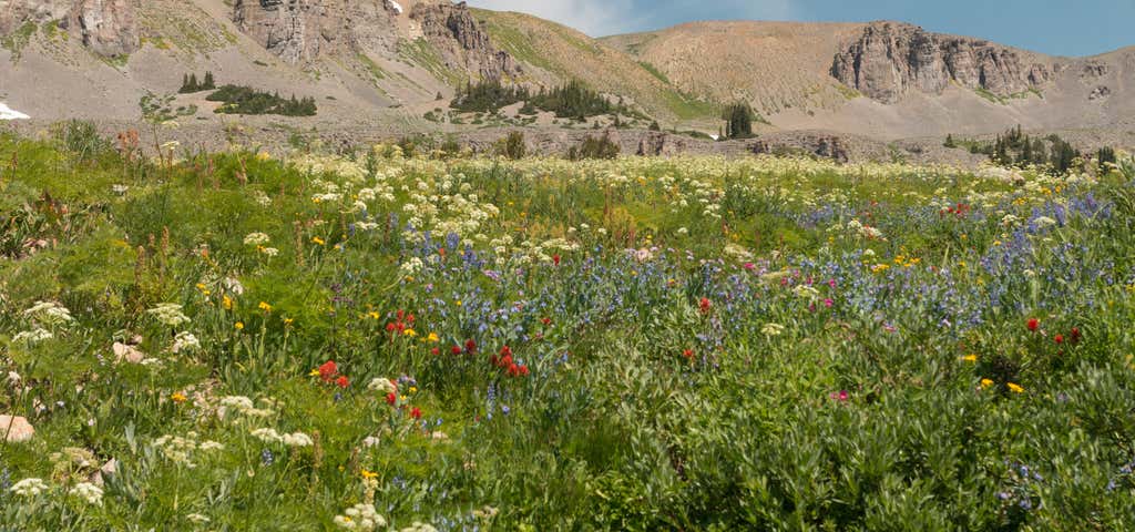 Photo of Alaska Basin Trail