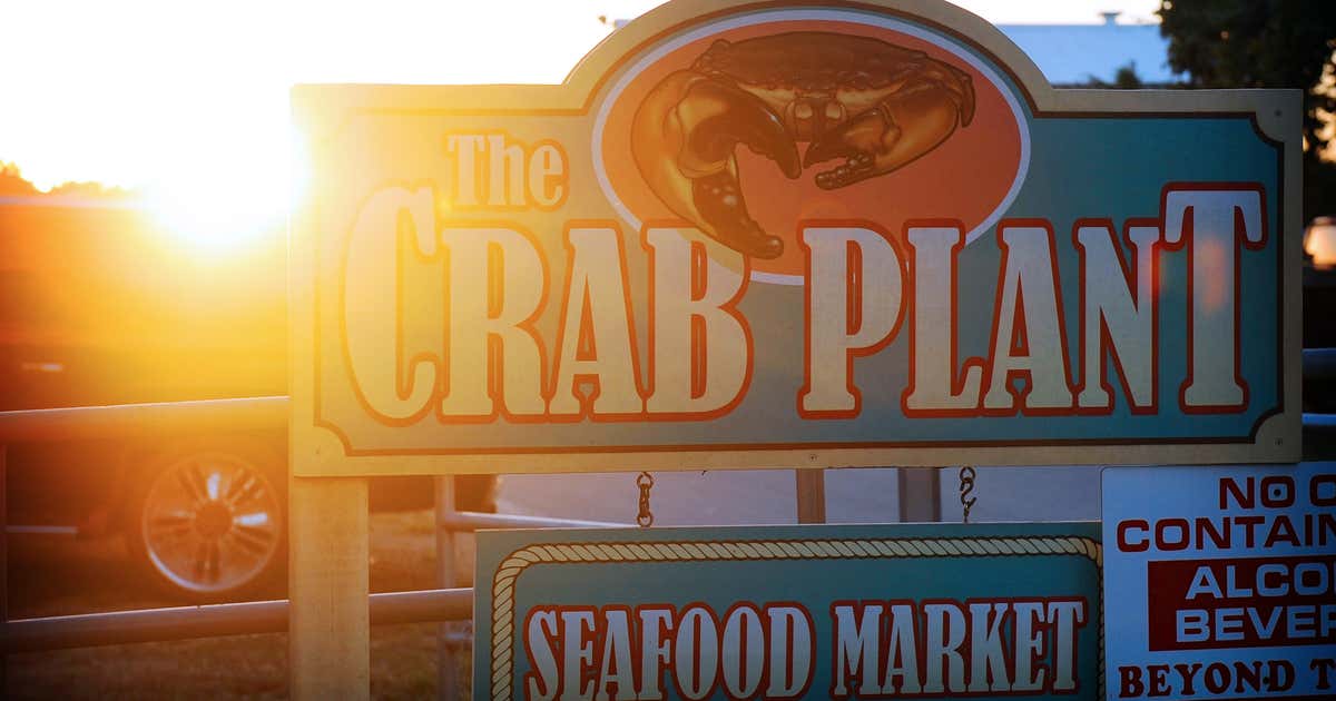 The Crab Plant, Crystal River Roadtrippers