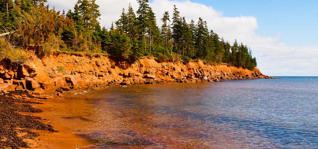 Photo of Cabot Beach Provincial Park Campground