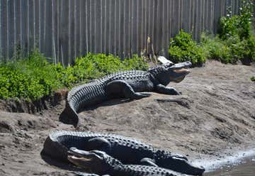 Photo of The Colorado Alligator Farm