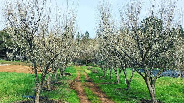 Riverhill Farm Nevada City Ca Roadtrippers River hill farm resided on a land tract patented as four brothers portion. roadtrippers