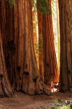 Photo of Sequoia National Park | Roadtrippers