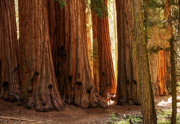 Photo of Sequoia National Park